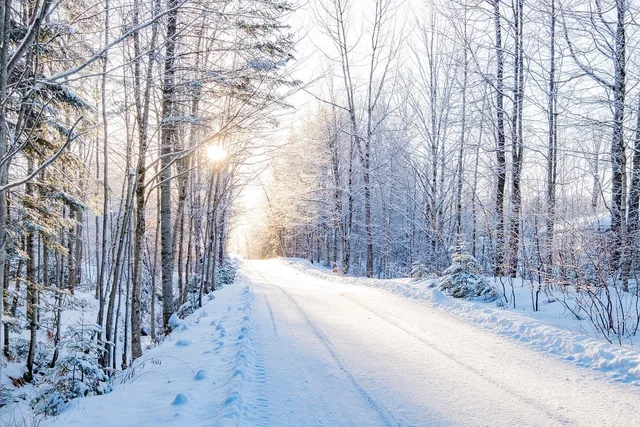trees, road, winter, snow, forest, cold, frost, park, snowy, sky, ice, path, frozen, wood, scene, country, nature, season, québec, canada, landscape. How winter, wildfire season, and daylight shape Canadian retreat dates