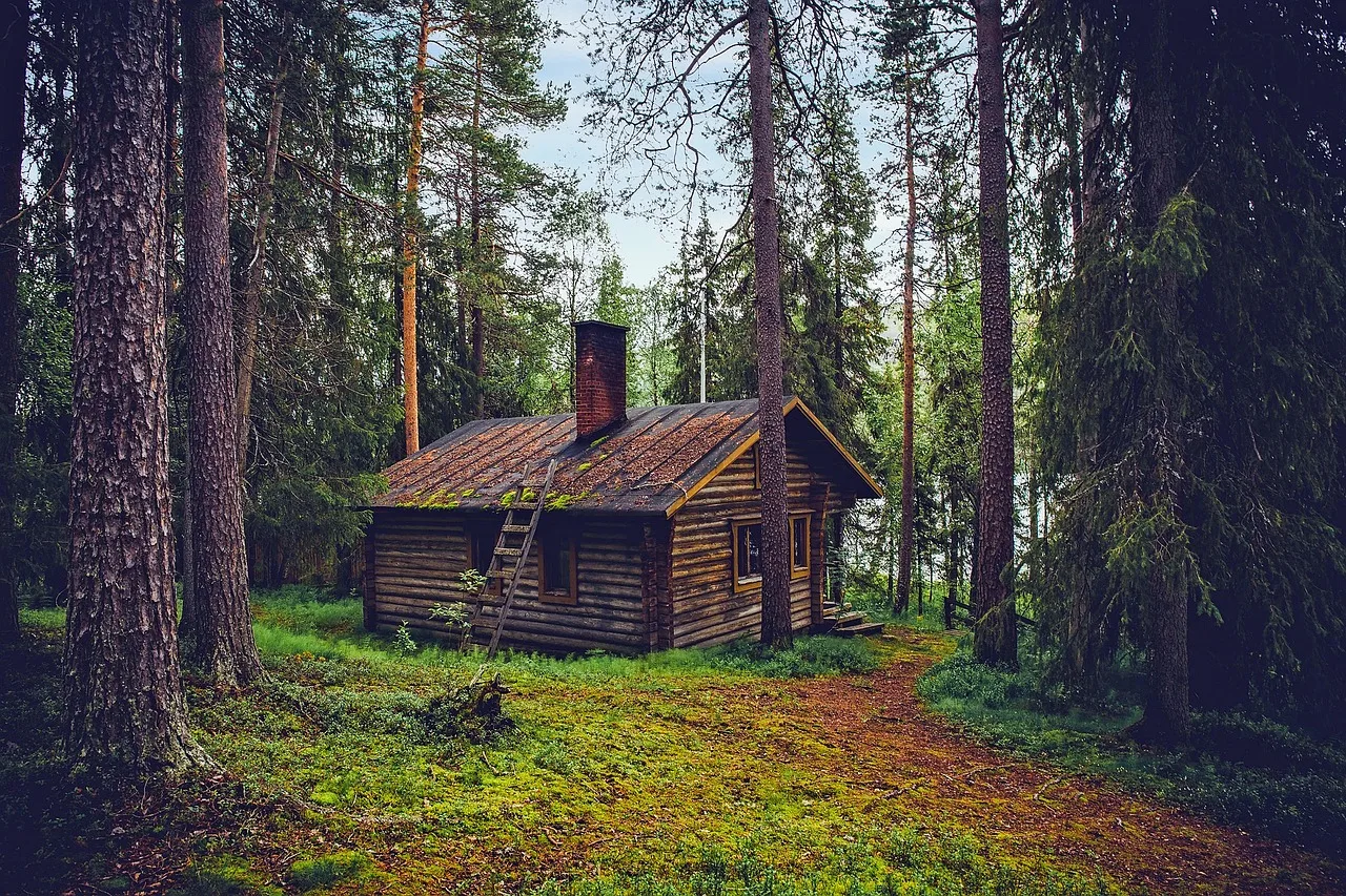 log cabin, cottage, house, home, finland, landscape, nature, outdoors, country, rural, forest, trees, woods, cottage, house, house, house, house, home, home, home, home, home, finland, forest, forest. 4 things about writing retreat costs worth your time
